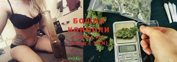 гашик Михайловка