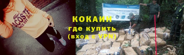 твердый Михайловск